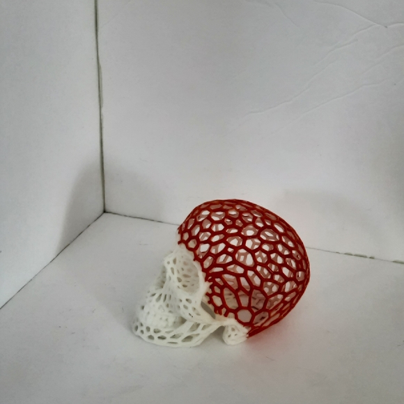 Skull - Picture 3 of 7